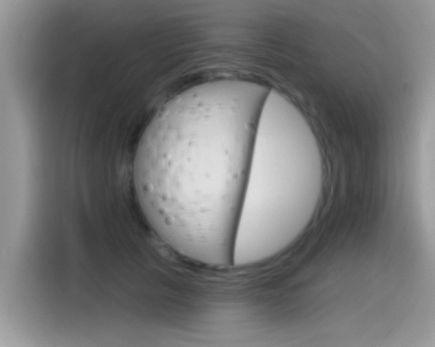 X0000115710657200911121004