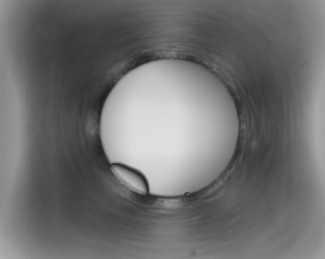 X0000115710665200911121004