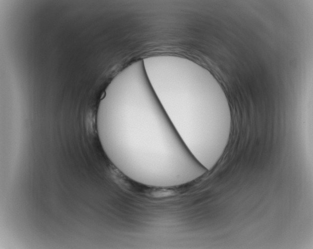 X0000115710669200911121004