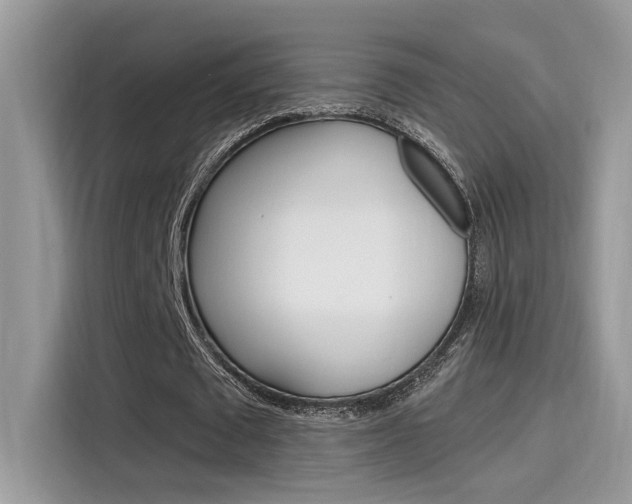 X0000115710673200911121004