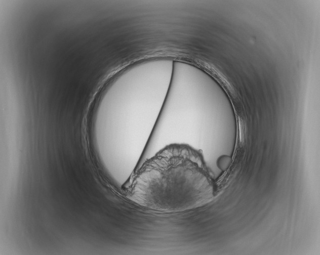 X0000115710675200911121004