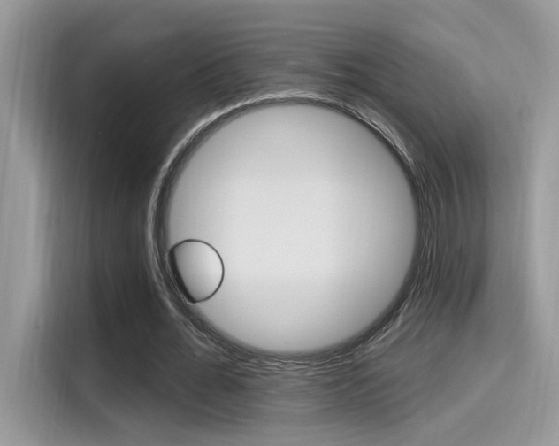 X0000115710676200911121004