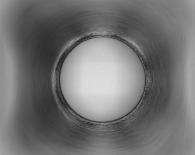 X0000115710678200911121004