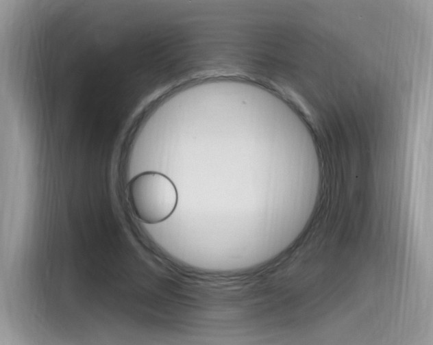 X0000115710684200911121003