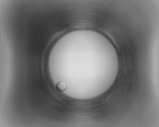 X0000115710688200911121003