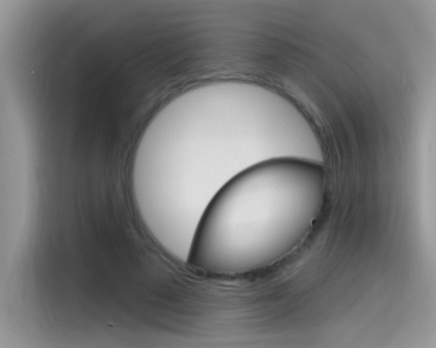 X0000115710689200911121003