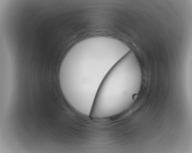 X0000115710707200911121003