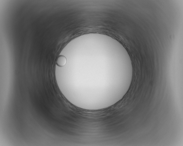 X0000115710720200911121003