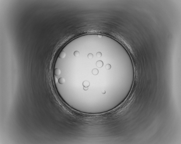 X0000115710721200911121002