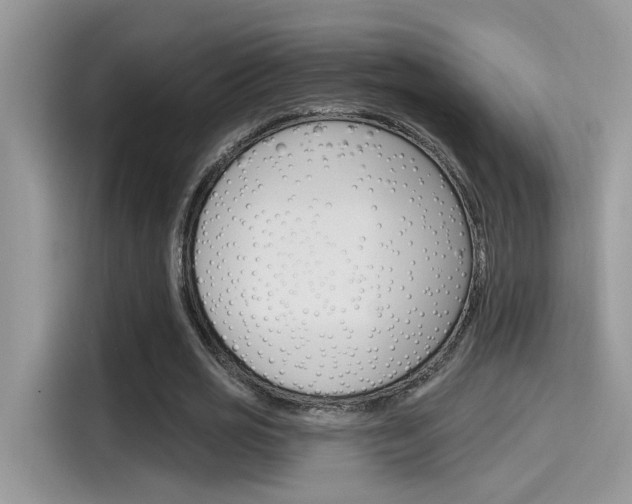 X0000115710725200911121002