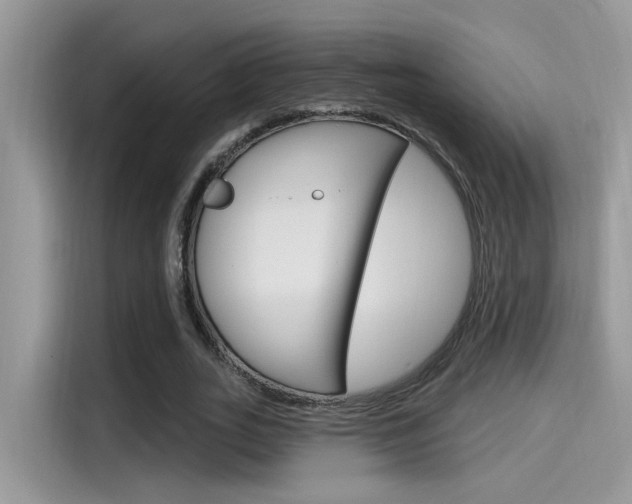 X0000115710727200911121002