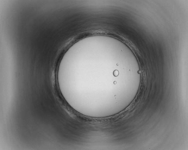 X0000115710729200911121002