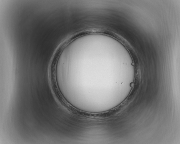 X0000115710730200911121002