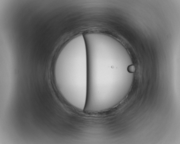 X0000115710738200911121003