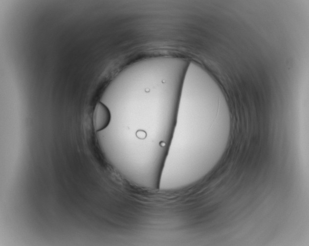 X0000115710739200911121003