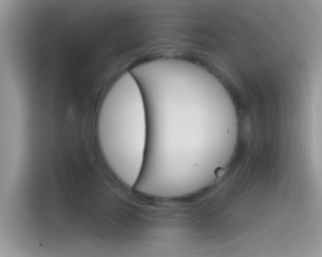 X0000115710746200911121003