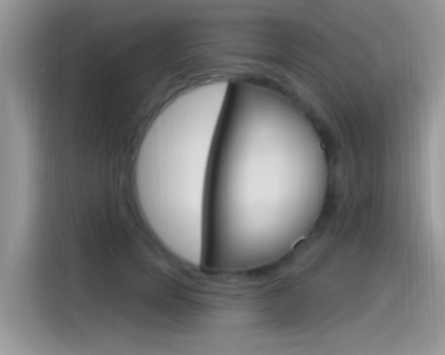 X0000115710750200911121003