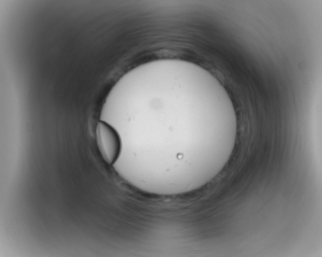 X0000115710755200911121003