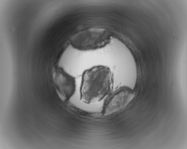 X0000115710761200911121003