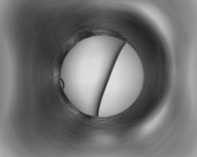 X0000115710767200911121003