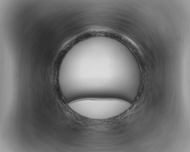 X0000115710775200911121002