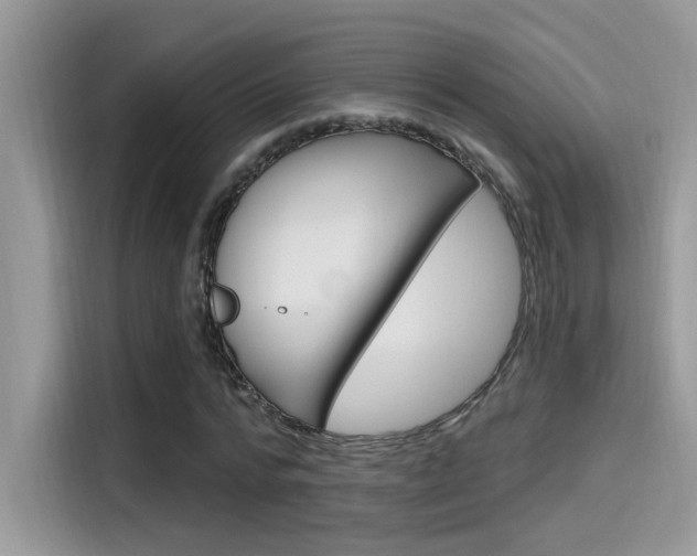 X0000115710776200911121002