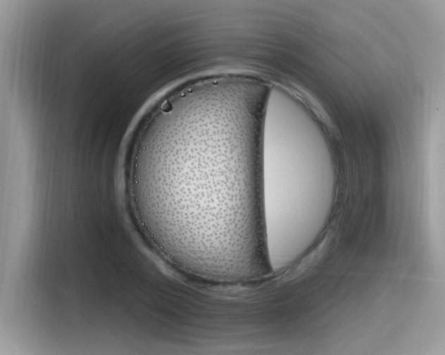 X0000115710784200911121002