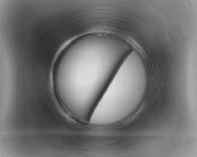 X0000115710788200911121002