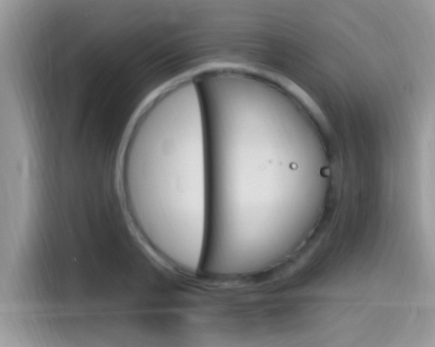 X0000115710791200911121002