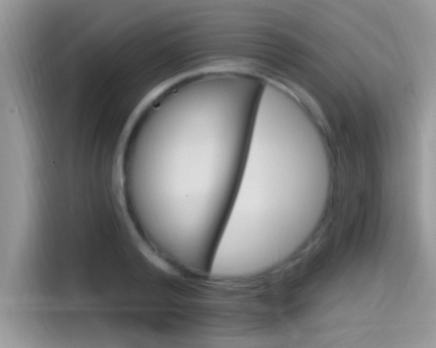 X0000115710792200911121002