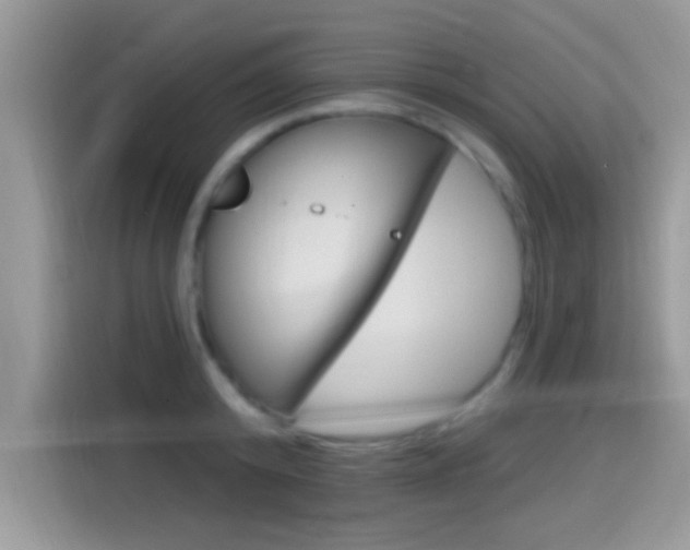 X0000115710800200911121002