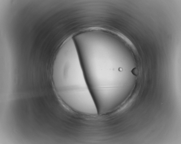 X0000115710801200911121002