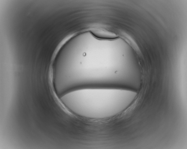 X0000115710804200911121002