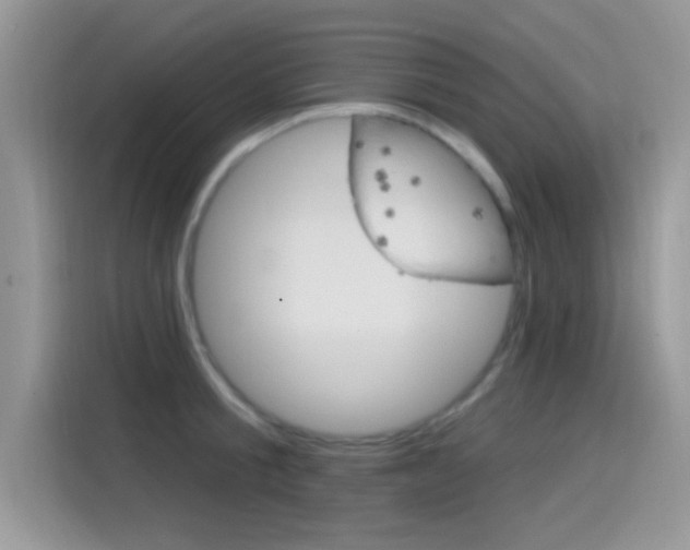 X0000115710805200911121002