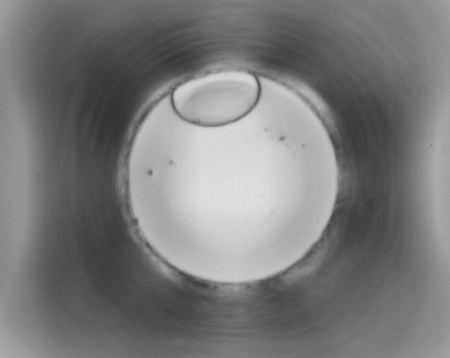 X0000115710807200911121002