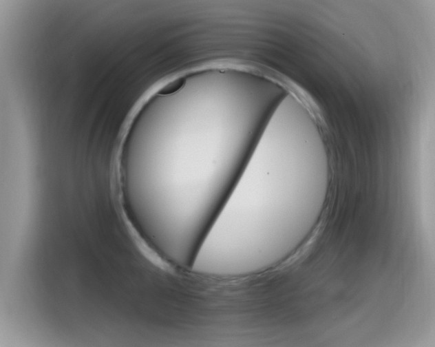 X0000115710808200911121002