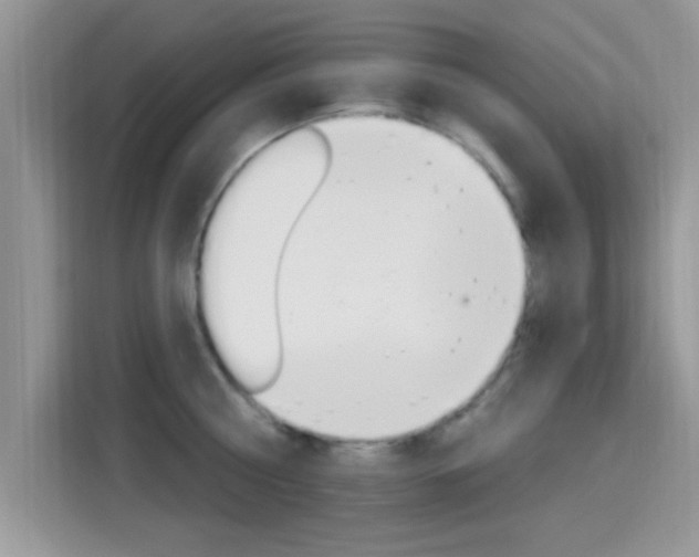 X0000115710810200911121002