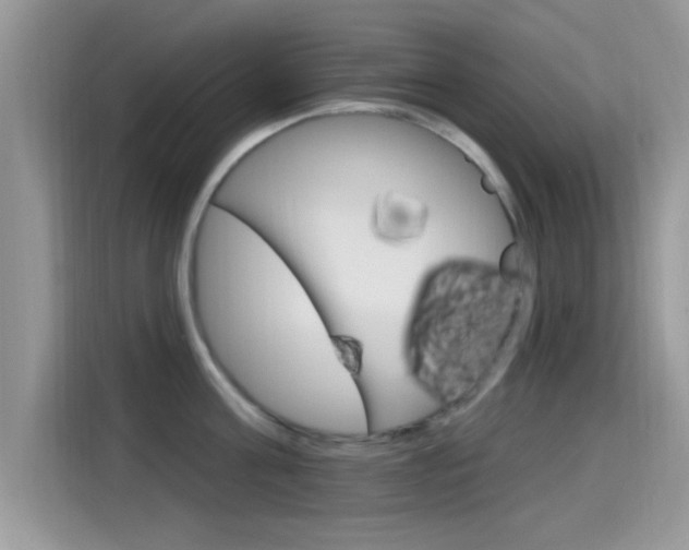 X0000115710811200911121002