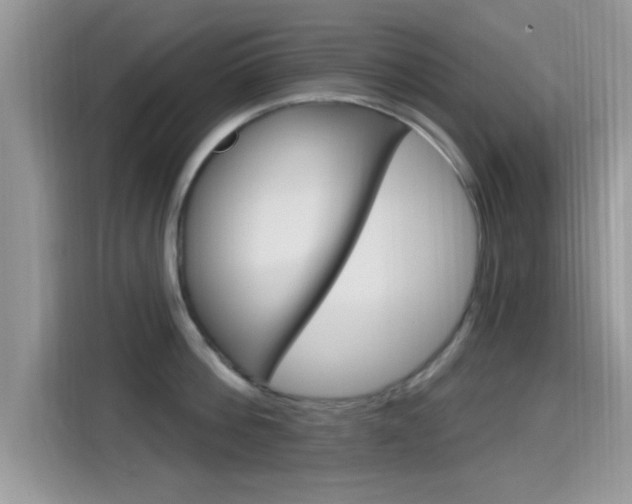 X0000115710812200911121002