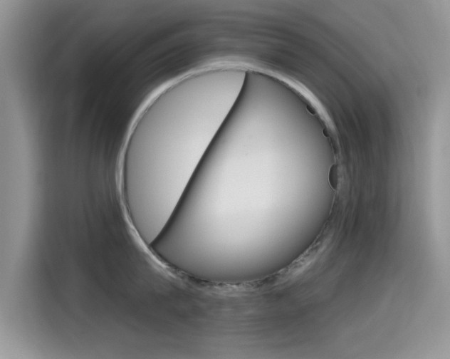 X0000115710815200911121002