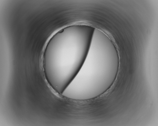 X0000115710816200911121002