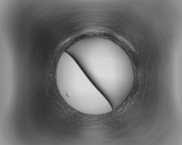 X0000115710822200911121001