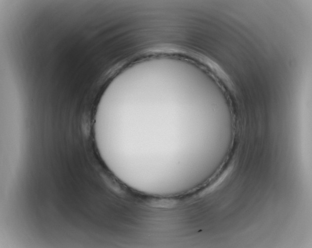 X0000115710833200911121001