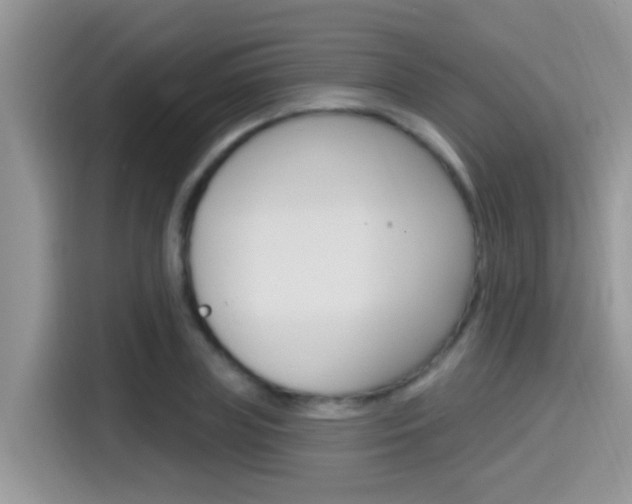 X0000115710835200911121001