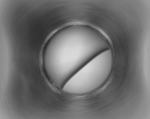 X0000115710837200911121001