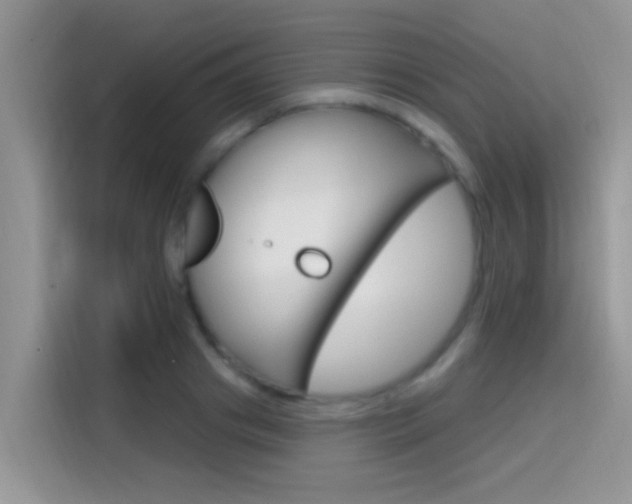 X0000115710841200911121001