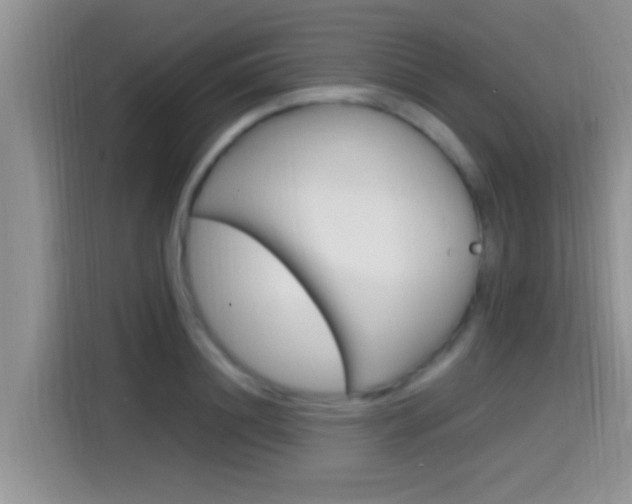 X0000115710844200911121001