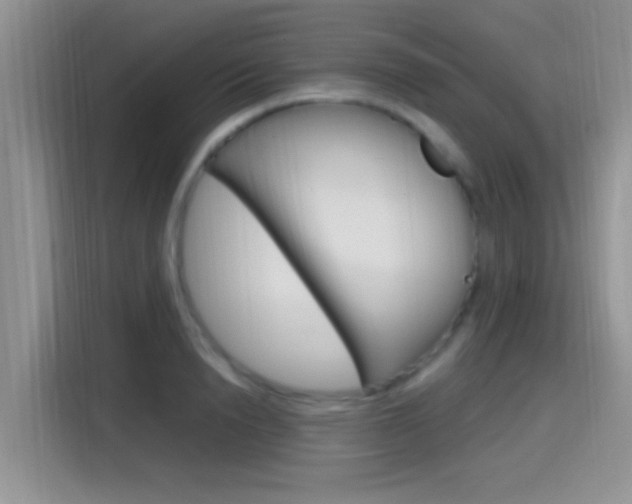 X0000115710846200911121001