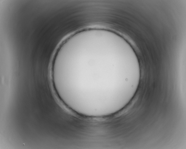 X0000115710848200911121002