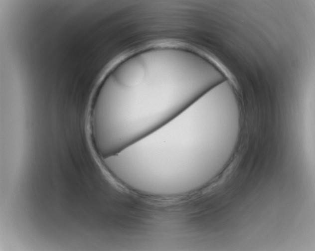 X0000115710853200911121002